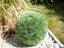Dekorační travní koule, 39cm