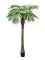 Phoenix palma Luxor, 150 cm