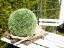 Dekorační travní koule, 23cm