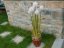 Pampeliška v květináči, 107 cm