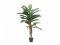 Kentia palma, 120 cm