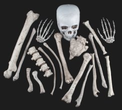 Halloween 17 kostí v pytli Halloween 17 kostí v pytli
