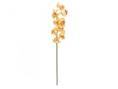 Orchidej větvička, žlutá, 90 cm