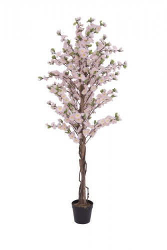 Třešeň se 4 kmeny růžová, 150 cm