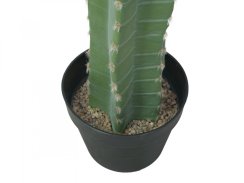 Mexický kaktus zelený, 97 cm