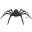 Tarantule Tarantule