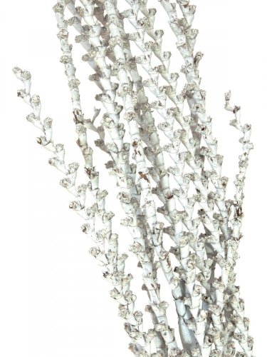 Galho Buriti přírodní větvička bílá, 150 cm
