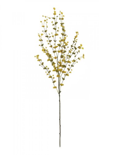 Eukalypt větvička, zeleno-žlutá, 110 cm