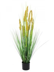 Polní tráva s klasy, 120 cm