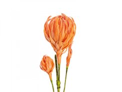 Větvička dálie, oranžová, 100 cm Větvička dálie, oranžová, 100 cm