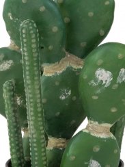 Kaktus mix v květináči, 54cm