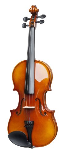 Stagg VN-4/4, housle s pouzdrem