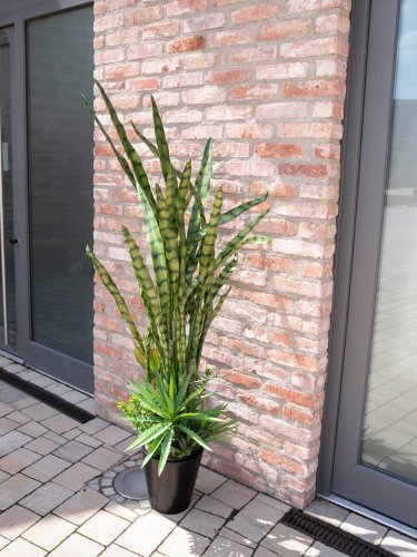 Kaktus mix s květináčem 190 cm