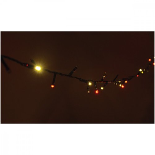 Lyyt 200TS-MC 200 LED String Lights with Timer Control MC
