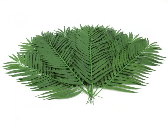 Kokos - palmový list střední, 110 cm, 12 ks