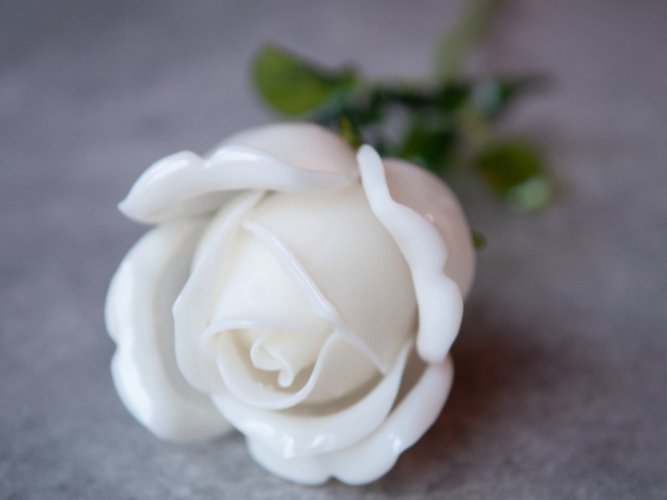Růže bílá, křišťálová 81cm, 12ks