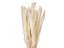 JOLIPA Pampas tráva, svazek stonků, sušené, 75cm