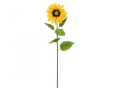 Slunečnice, 70 cm Slunečnice, 70 cm