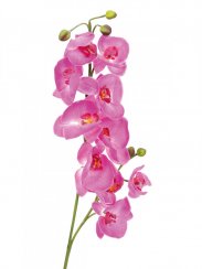 Orchidej větvička fialová, 100 cm