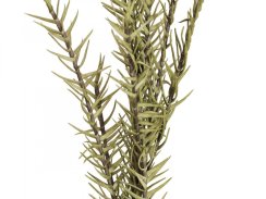 Větvička rozmarýn (EVA), zelená, 120 cm