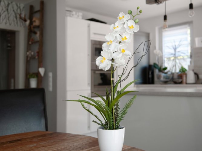 Orchidej bílá v dekoračním květináči, 8 květů, 62 cm