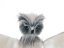 Halloween sněžná sova Hermína - rozbaleno (83316081)