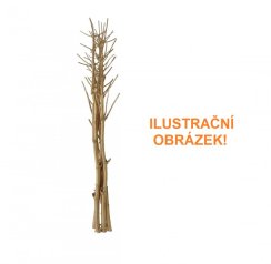 Suché větvičky fenyklu, zlatá, 160 cm - použito (83502363)