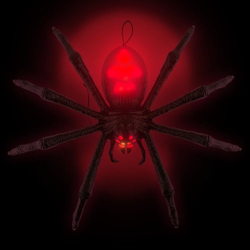 Tarantule 