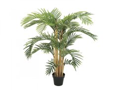 Kentia palma, 140 cm Kentia palma, 140 cm