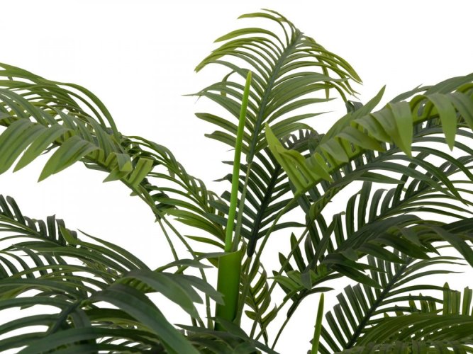 Palma Areca, 2 kmeny, 120 cm