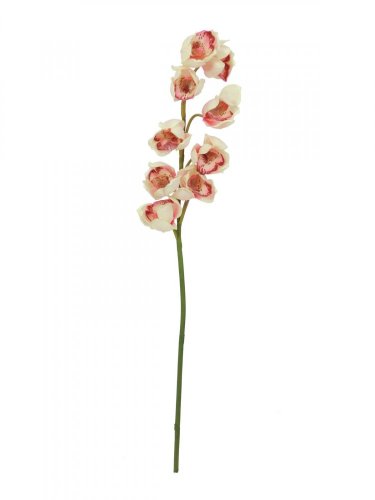 Orchidej větvička, krémově růžová, 90 cm