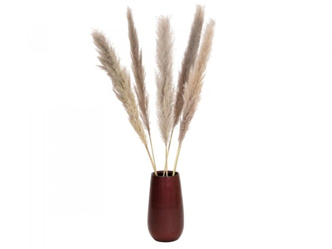 JOLIPA Pampas tráva, sušený klas, natural, 137cm