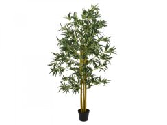 Bambus multi kmen 180 cm Bambus multi kmen 180 cm