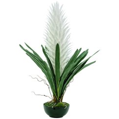 Bromélie, bílá, 100cm - rozbaleno (82532001)