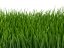 Umělá tráva, tmavě zelená, 25 x 25 cm