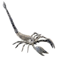 Halloween kostra štíra