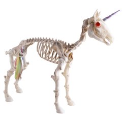 Halloween kostra jednorožce, 60 cm Halloween kostra jednorožce, 60 cm