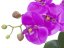 Orchidej fialová v dekoračním květináči, 45 cm