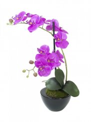 Orchidej fialová v dekoračním květináči, 11 květů, 45 cm