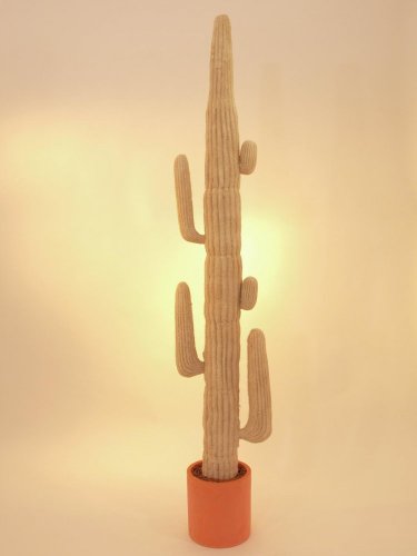 Mexický kaktus bílý, 210 cm