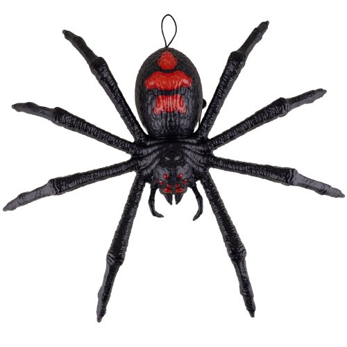 Tarantule 