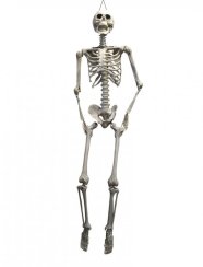 Halloween závěsná kostra, 175 cm Halloween závěsná kostra, 175 cm