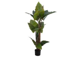 Taro Alocasia, umělá rostlina, 140cm