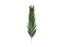 Palma list - kokos královský (kus), 210 cm