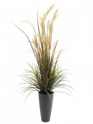 Říční tráva, 175 cm