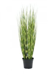 Zebrovaná tráva, 90cm