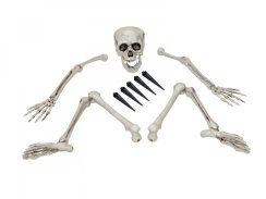 Halloween lebka a končetiny kostlivce