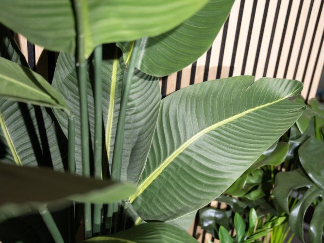 Europalms Strelície, umělá rostlina, 110cm