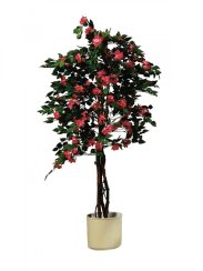 Bougenvilia červená, 240cm - rozbaleno (82507058)