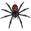 Tarantule Tarantule